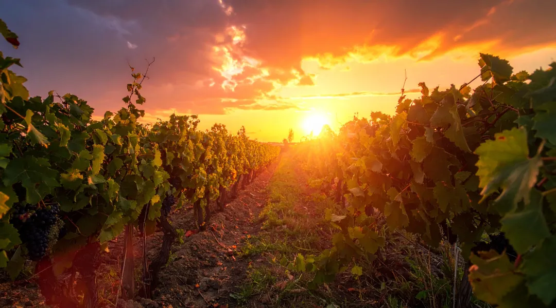 Check-in autonome - bonne ou mauvaise idée pour votre logement ? arrivée simplifiée