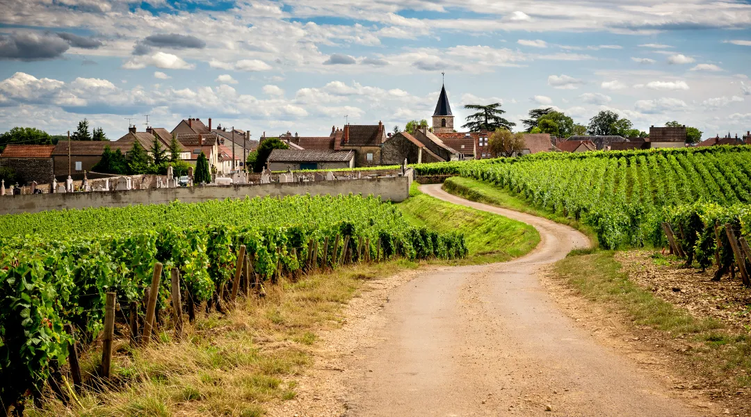 Combien rapporte réellement un logement Airbnb sur la route des vins ?