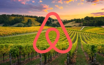Combien rapporte réellement un logement Airbnb sur la route des vins ?