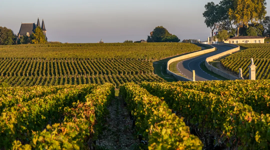 Combien rapporte réellement un logement Airbnb sur la route des vins ?