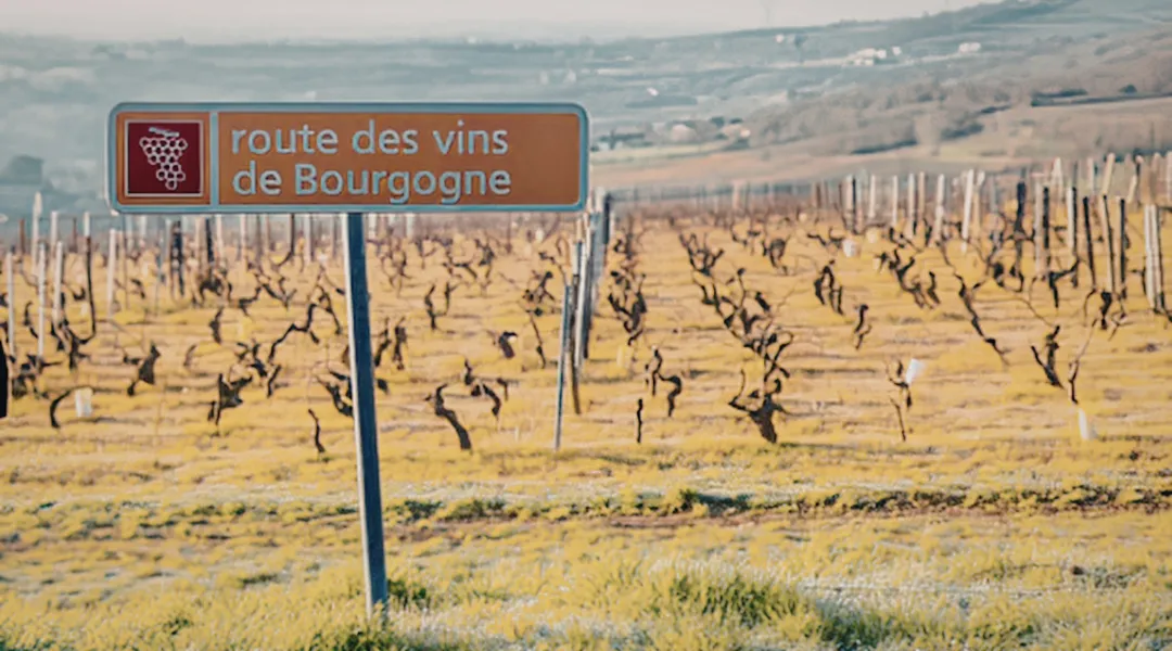 Rentabilité locative - les erreurs qui plombent vos revenus