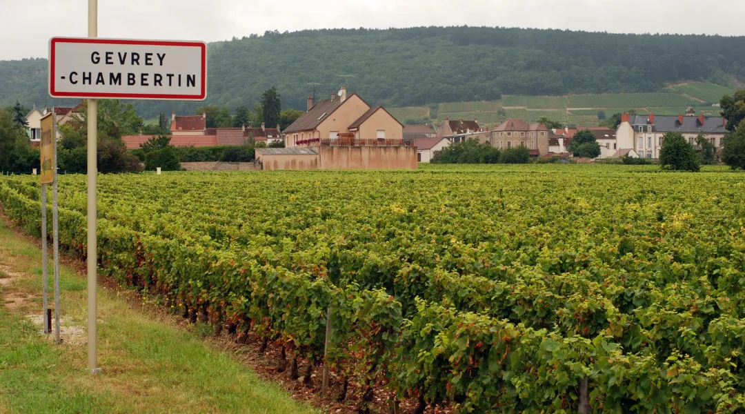 Les villages les plus demandés par les voyageurs en Bourgogne Gevrey chambertin