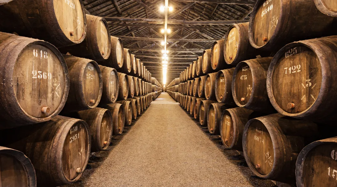 Que faire à Gevrey-Chambertin en famille pendant vos vacances ? cave